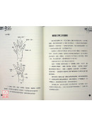 火柴棒醫生手記最新完整版：神奇的穴位養生療法