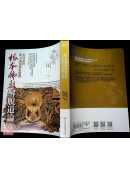 根本佛教解脫道論：木村泰賢新大乘運動思想觀