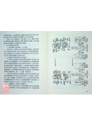 中醫全息診療術