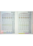 《三元年鉴》丙午、丁未（天河水）