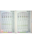 《三元年鉴》丙午、丁未（天河水）