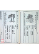 中國二千年之預言